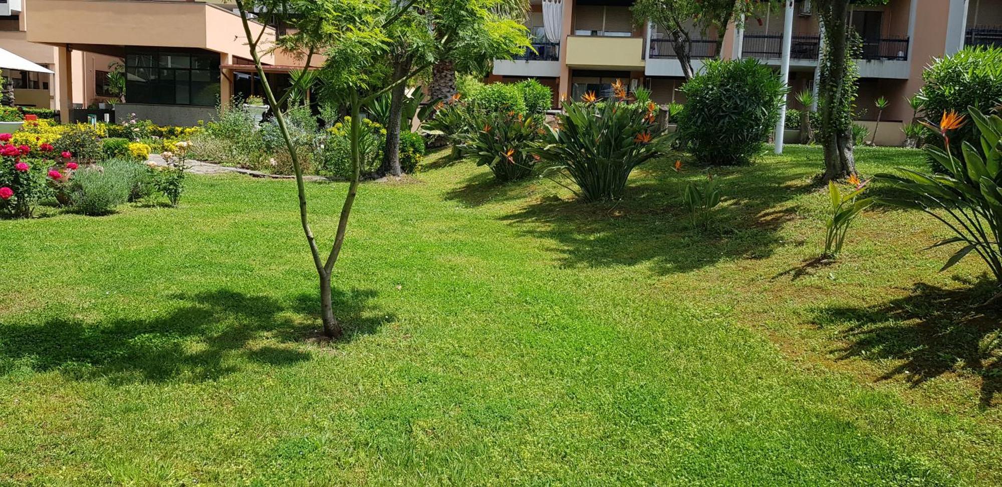 Green Oasis โรม ภายนอก รูปภาพ